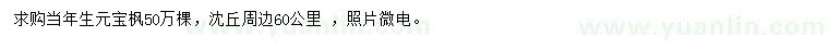 求購當年生元寶楓