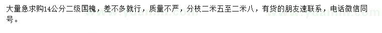 求購14公分國槐