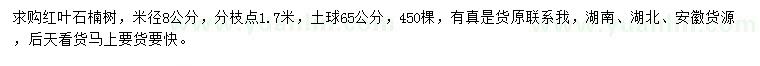 求購米徑8公分紅葉石楠樹