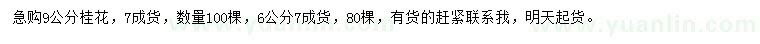 求購6、9公分桂花