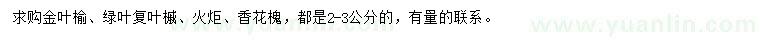 求購金葉榆、綠葉復(fù)葉槭、火炬等