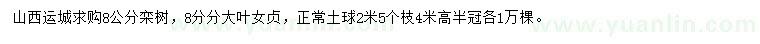 求購8公分欒樹、大葉女貞