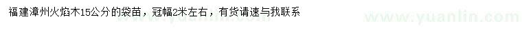 求購15公分火焰木