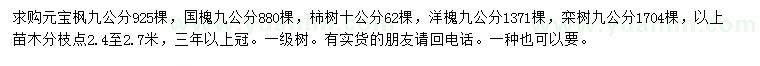 求購元寶楓、國槐、柿樹等
