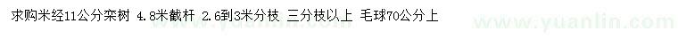 求購米徑11公分欒樹