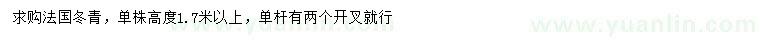 求購(gòu)單株高度1.7米以上法國(guó)冬青