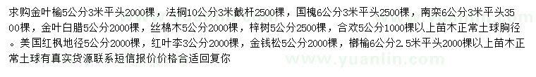 求購金葉榆、法桐、國槐等
