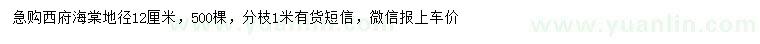 求購地徑12公分西府海棠