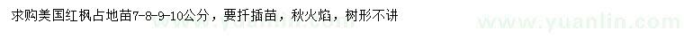 求購7-10公分美國紅楓