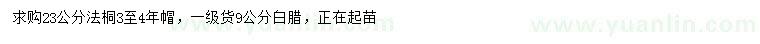 求購23公分法桐、9公分白臘