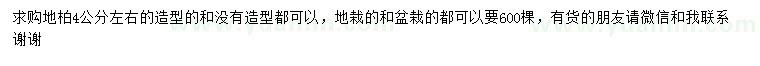 求購4公分左右地柏