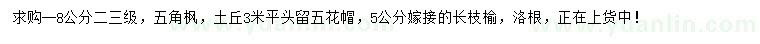 求購(gòu)8公分五角楓、5公分嫁接長(zhǎng)枝榆