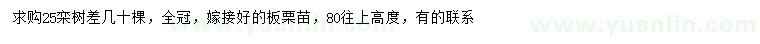 求購25公分欒樹