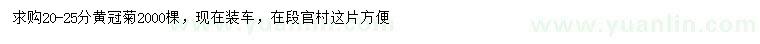 求購20-25公分黃冠菊