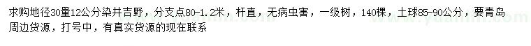 求購地徑30量12公分染井吉野