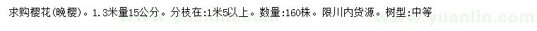 求購1.3米量15公分櫻花（晚櫻）