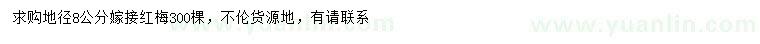 求購(gòu)地徑8公分嫁接紅梅