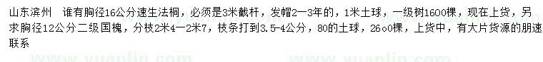 求購胸徑16公分速生法桐、12公分國槐