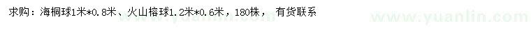 求購(gòu)冠幅1米海桐球、1.2米火山榕球