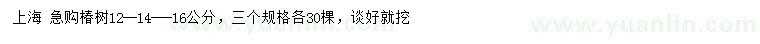 求購12、14、16公分椿樹