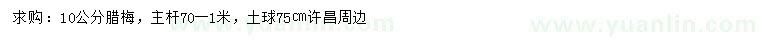 求購10公分臘梅