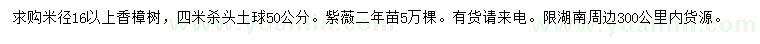 求購(gòu)米徑16公分香樟、二年生紫薇小苗