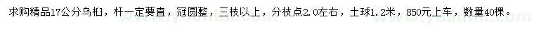 求購17公分烏桕