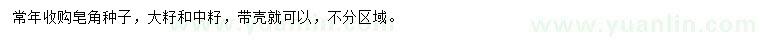 求購皂角種子
