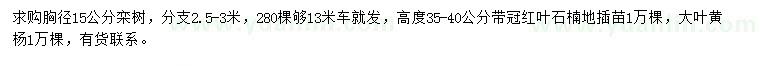 求購欒樹、紅葉石楠、大葉黃楊