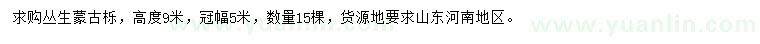 求購高度9米叢生蒙古櫟