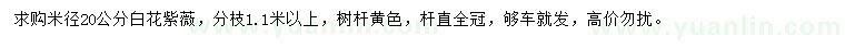 求購米徑20公分白花紫薇