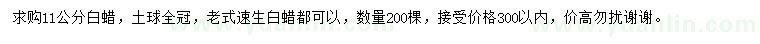 求購11公分白蠟