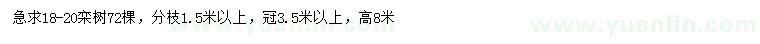求購18-20公分欒樹