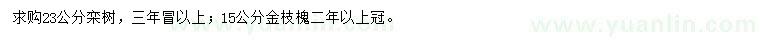 求購23公分欒樹、15公分金枝槐