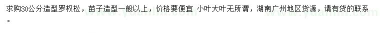 求購30公分造型羅權(quán)松