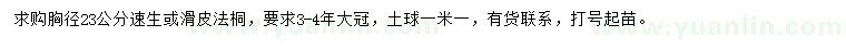 求購胸徑23公分速生或滑皮法桐