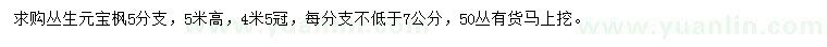 求購高5米叢生元寶楓