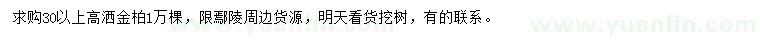求購高30公分以上灑金柏