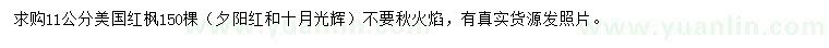 求購11公分美國紅楓