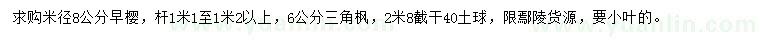 求購(gòu)米徑8公分早櫻、6公分三角楓