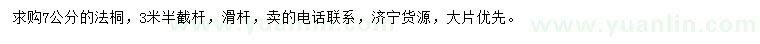 求購7公分法桐