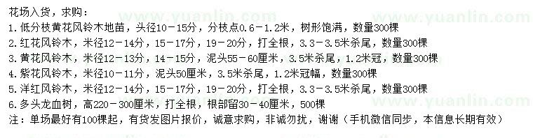 求購(gòu)黃花風(fēng)鈴木、紅花風(fēng)鈴木、紫花風(fēng)鈴木等