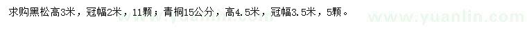 求購高3米黑松、15公分青桐