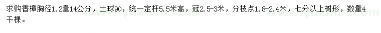 求購胸徑1.2量14公分香樟