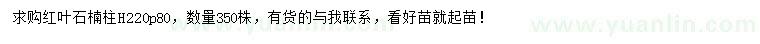 求購(gòu)高2.2米紅葉石楠柱
