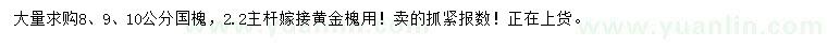 求購8、9、10公分國槐