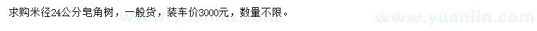 求購米徑24公分皂角樹
