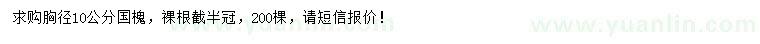 求購胸徑10公分國槐