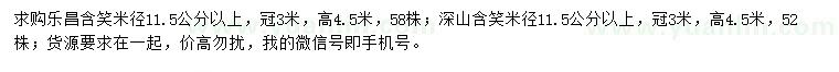 求購米徑11.5公分以上樂昌含笑、深山含笑