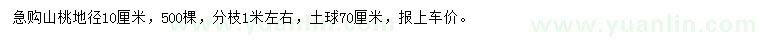 求購10公分山桃